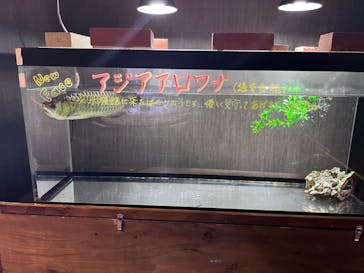 ゼロ距離水族館 伊勢シーパラダイスに投稿された画像（2023/3/27）