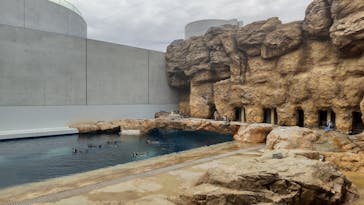 島根県立 しまね海洋館に投稿された画像（2023/3/27）