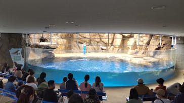 島根県立 しまね海洋館に投稿された画像（2023/3/27）