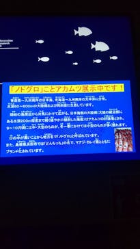島根県立 しまね海洋館に投稿された画像（2023/3/27）
