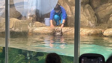 マリンワールド海の中道に投稿された画像（2023/3/27）