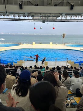 マリンワールド海の中道に投稿された画像（2023/3/27）