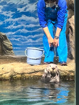 マリンワールド海の中道に投稿された画像（2023/3/27）