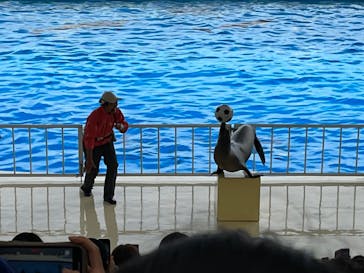 マリンワールド海の中道に投稿された画像（2023/3/27）
