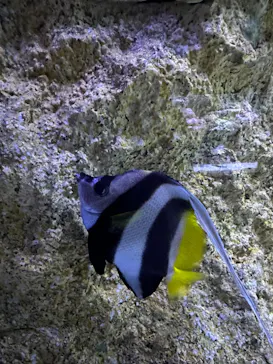 すみだ水族館に投稿された画像（2023/3/27）