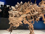 特別展「恐竜博2023」に投稿された画像（2023/3/27）