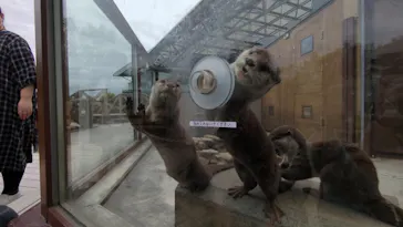 横浜・八景島シーパラダイスに投稿された画像（2023/3/27）