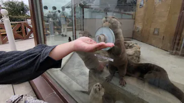横浜・八景島シーパラダイスに投稿された画像（2023/3/27）