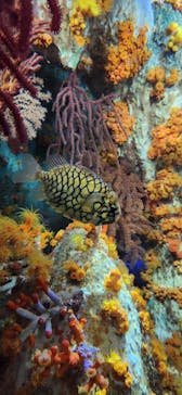 サンシャイン水族館に投稿された画像（2023/3/27）