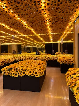 ゴッホ・アライブ神戸に投稿された画像（2023/3/27）