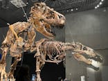 特別展「恐竜博2023」に投稿された画像（2023/3/27）