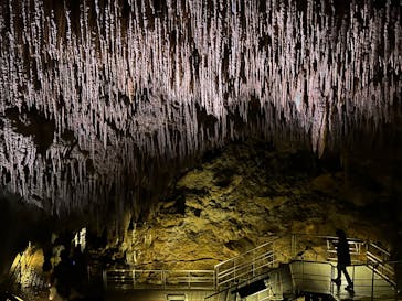 おきなわワールドに投稿された画像（2023/3/27）