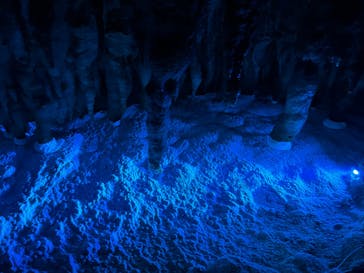 おきなわワールドに投稿された画像（2023/3/27）