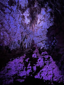 おきなわワールドに投稿された画像（2023/3/27）