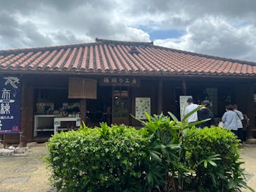 おきなわワールドに投稿された画像（2023/3/27）