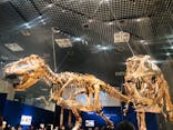 特別展「恐竜博2023」に投稿された画像（2023/3/27）