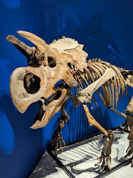 特別展「恐竜博2023」に投稿された画像（2023/3/27）