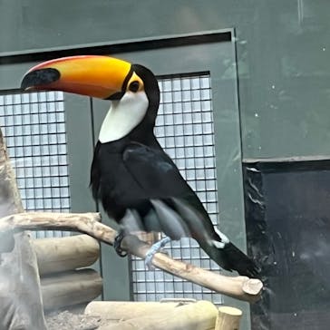 カワスイ 川崎⽔族館に投稿された画像（2023/3/27）