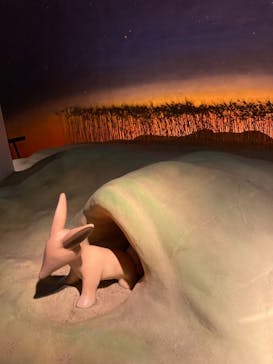 星の王子さまミュージアム 箱根サン=テグジュペリに投稿された画像（2023/3/27）