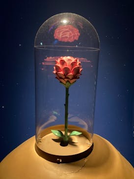 星の王子さまミュージアム 箱根サン=テグジュペリに投稿された画像（2023/3/27）