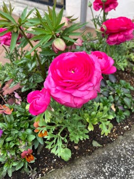 星の王子さまミュージアム 箱根サン=テグジュペリに投稿された画像（2023/3/27）