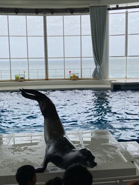 アクアワールド茨城県大洗水族館に投稿された画像（2023/3/27）