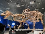 特別展「恐竜博2023」に投稿された画像（2023/3/27）