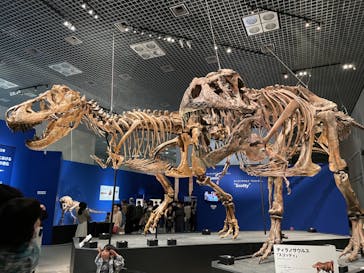 特別展「恐竜博2023」に投稿された画像（2023/3/27）