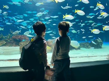 サンシャイン水族館に投稿された画像（2023/3/27）