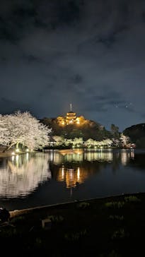 三溪園に投稿された画像（2023/3/27）