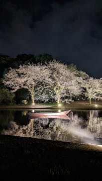 三溪園に投稿された画像（2023/3/27）