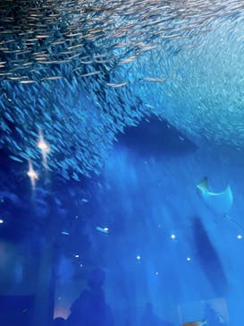 名古屋港水族館に投稿された画像（2023/3/27）