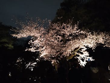 六義園に投稿された画像（2023/3/27）