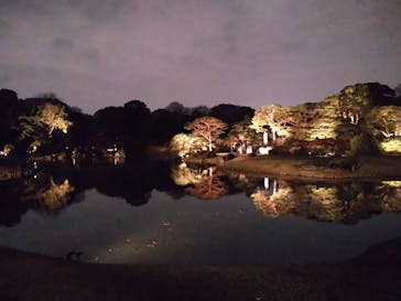 六義園に投稿された画像（2023/3/27）