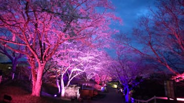 成田ゆめ牧場に投稿された画像（2023/3/27）