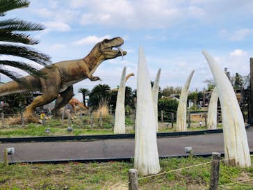 伊豆ぐらんぱる公園に投稿された画像（2023/3/27）