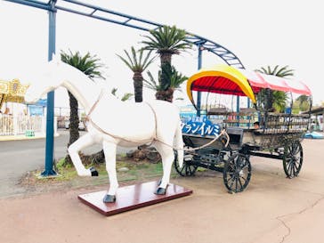 伊豆ぐらんぱる公園に投稿された画像（2023/3/27）