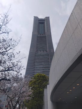 横浜ランドマークタワー 69階展望フロア スカイガーデンに投稿された画像（2023/3/27）