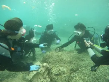 武藤潜水に投稿された画像（2023/3/27）