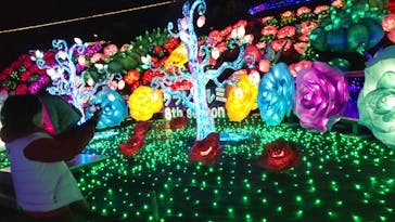 伊豆ぐらんぱる公園に投稿された画像（2023/3/27）