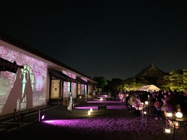 『NAKED FLOWERS 2023 桜 世界遺産・二条城』に投稿された画像（2023/3/27）