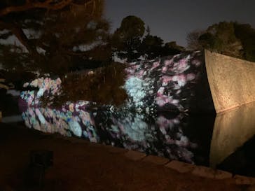 『NAKED FLOWERS 2023 桜 世界遺産・二条城』に投稿された画像（2023/3/27）
