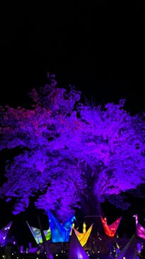 伊豆ぐらんぱる公園に投稿された画像（2023/3/27）