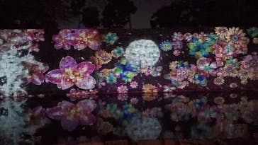 『NAKED FLOWERS 2023 桜 世界遺産・二条城』に投稿された画像（2023/3/27）