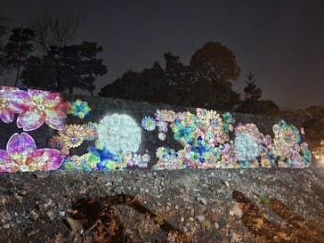 『NAKED FLOWERS 2023 桜 世界遺産・二条城』に投稿された画像（2023/3/27）