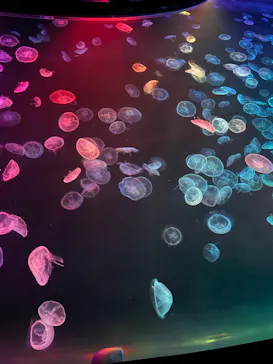 すみだ水族館に投稿された画像（2023/3/27）