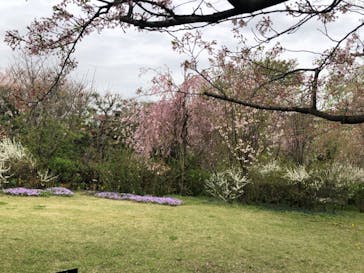 横浜イングリッシュガーデンに投稿された画像（2023/3/27）