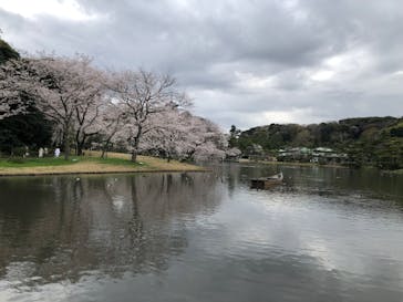 三溪園に投稿された画像（2023/3/27）