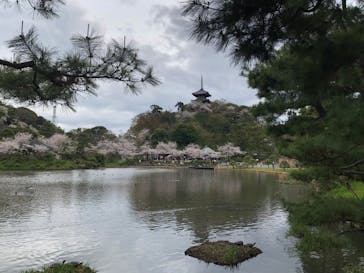 三溪園に投稿された画像（2023/3/27）