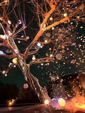 西武園ゆうえんちに投稿された画像（2023/3/27）